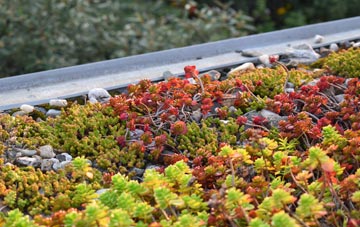 the cost of Tetley green roof installation