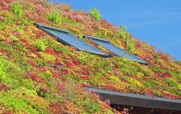 Tetley living roof systems