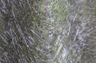 Tetley fibreglass roof work